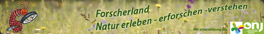 Logo der Organisation Forscherland