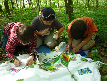 Jahreskreis Frühling